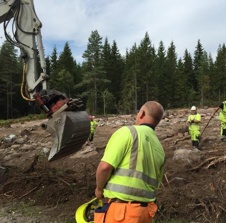 Roller och ansvar Arkeologisk utförare Registrera information