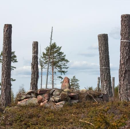 Lämningsinformation Vad? Uppgifter om kulturhistoriska lämningar Varför?
