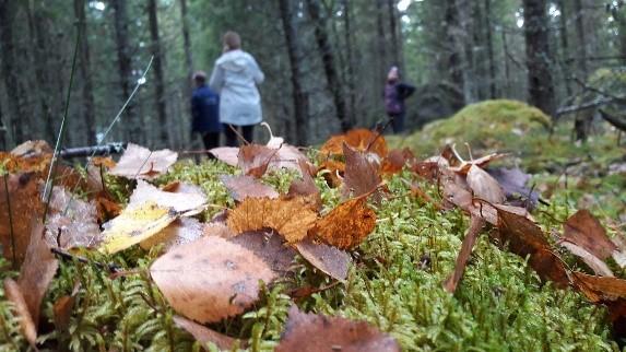 genomförs. Samverkan har skett med ENA-projektets deltagare 1 dag/v. Från och med januari 2018 integreras ENA- projektets deltagare helt i NUA och grupperna slås samman.