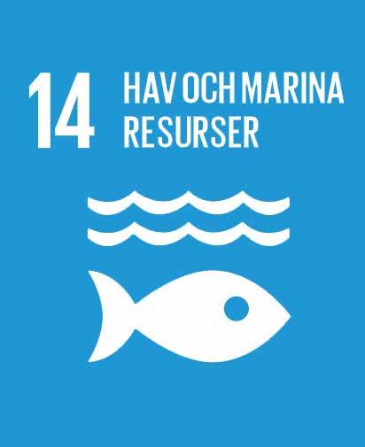 Mål 14 i Agenda 2030