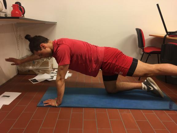 Övningen kan förenklas genom att istället stödja sig på en armbåge och knä.