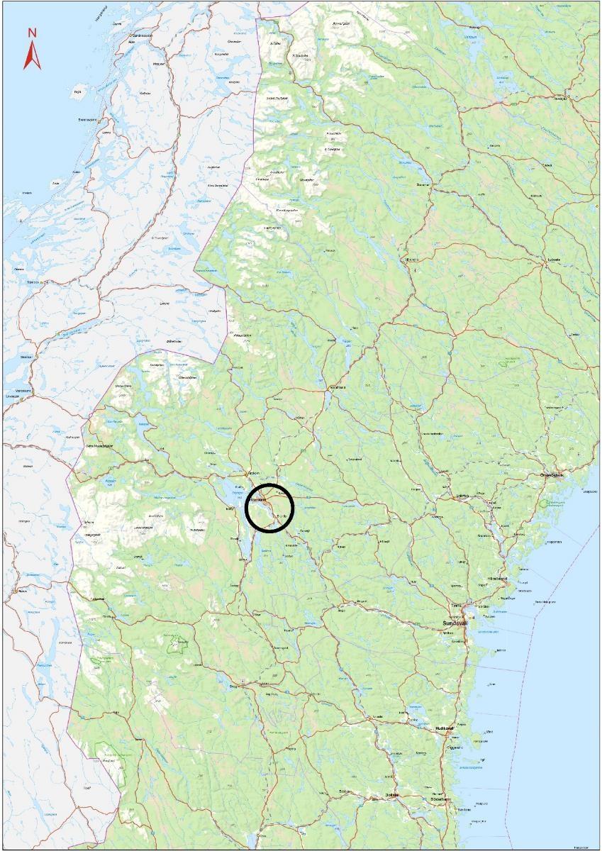 går ihop mellan Brunflo och Östersunds tätorter och har en viktig funktion för näringslivets transporter, turist- och besöksnäring och arbetspendling. Det är höga trafikflöden genom Brunflo tätort.