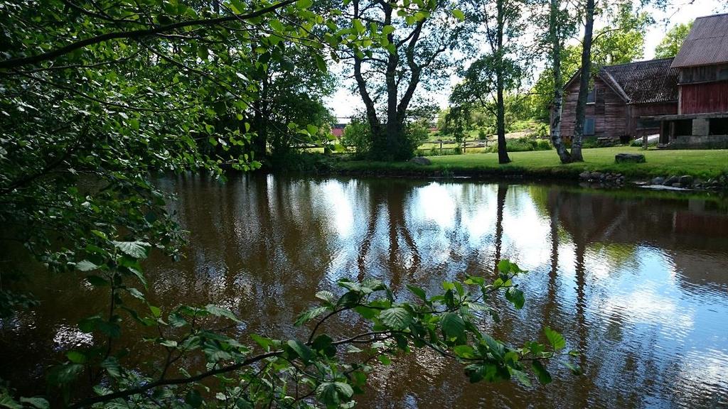 Figur 24. Provtagningslokalen i Skeboån ligger uppströms en damm en kilometer innan ån mynnar i Edeboviken. Vattendraget är lugnflytande både uppströms och nedströms dammen.