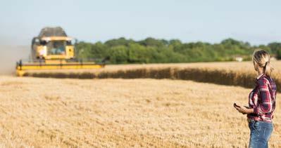 Åtgärder för växtodling Drivmedelsförbrukning i traktorer och andra fältmaskiner står för den allra största delen av jordbrukets energianvändning.