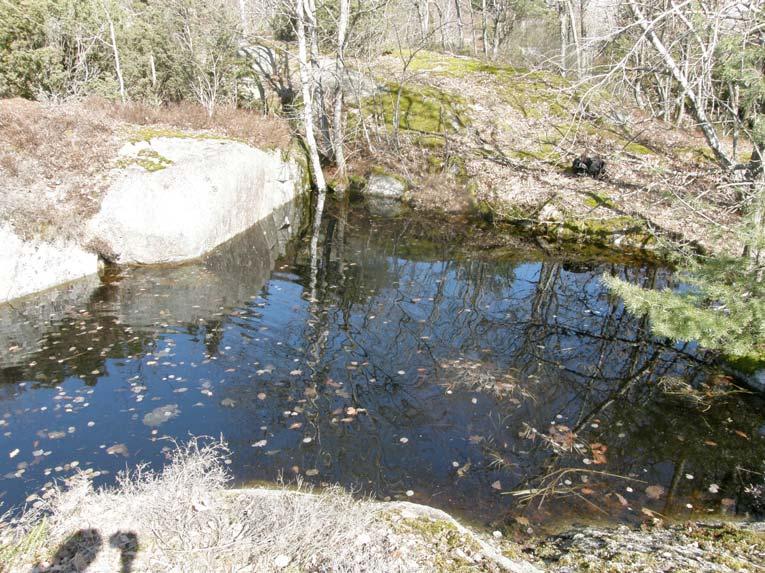 8. Dalgång med flera små vätar Mellan större hällmarker finns denna smala dalgång med två till tre små vätar med tillhörande myrmarker. Troligen torkar vätarna delvis ut på sommaren.