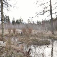 Tomt Härlig, avskild tomt