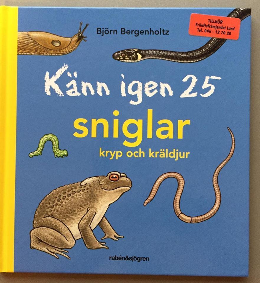 Känn igen 25