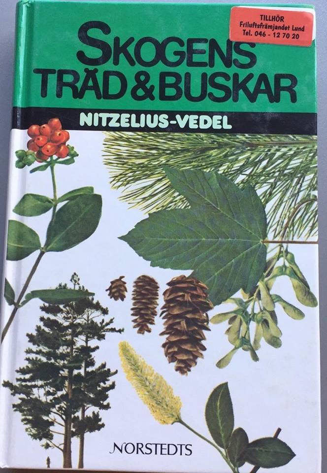 Skogens träd & buskar