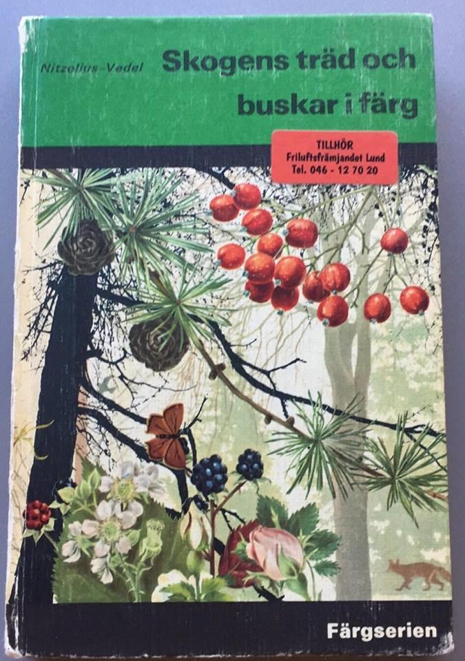 Skogens träd och buskar i färg Visar blad,