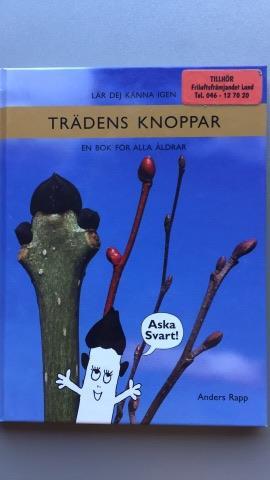 Trädens knoppar Sveriges vanligaste lövträds knoppar.
