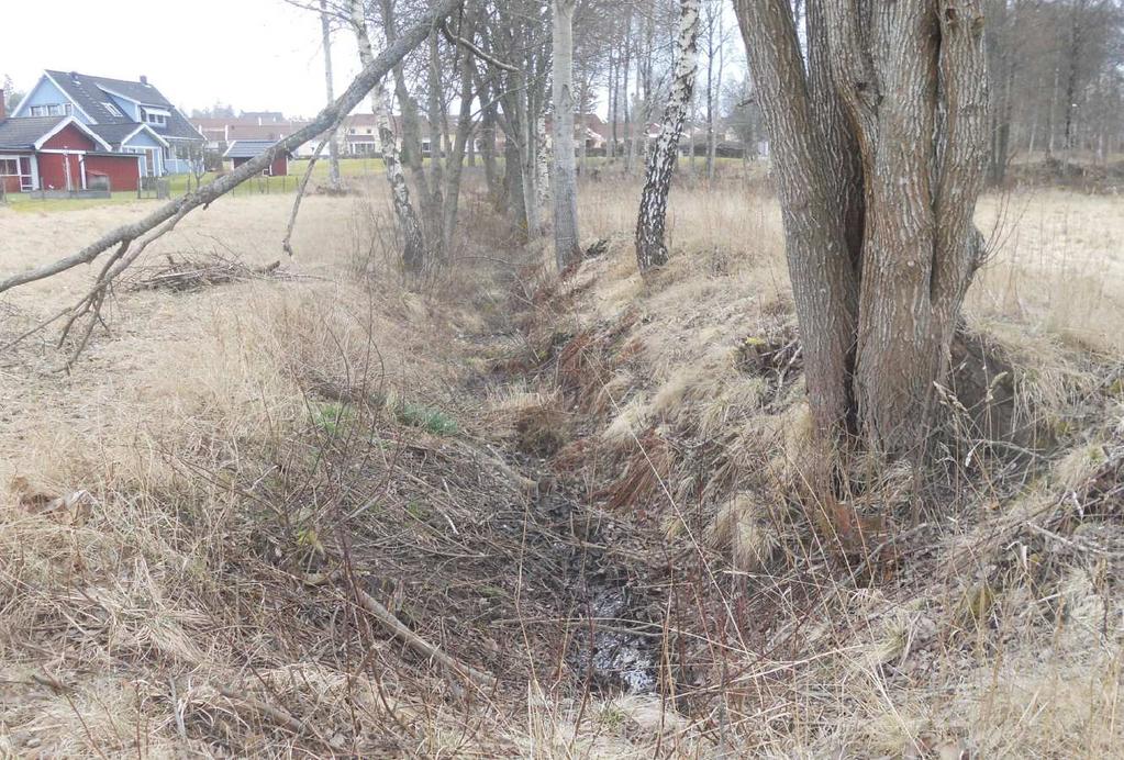 4(14) PLANFÖRUTSÄTTNINGAR Bebyggelse Området är idag obebyggt. Natur Mark och vegetation En stor del av området är en öppen gräsyta som slås med slaghack en gång om året.