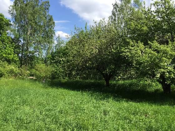 26 26 120 Park och trädgård 1207 Gårdsmiljö 2 Visst biotopvärde 1 Obetydligt artvärde 4 Visst Gullviva Gammal gårdsmiljö med frukträd och