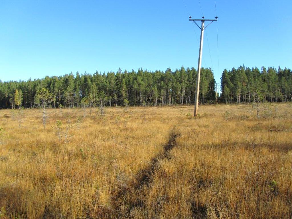 KART- OCH ARKIVMATERIAL LAFORSEN Det historiska kartmaterialet ger inte många upplysningar om forn- och kulturar i sträckningen.