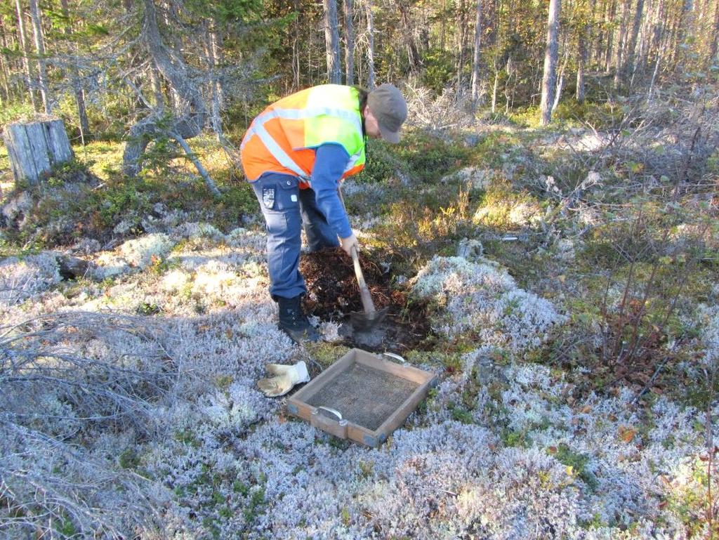 INLEDNING Länsmuseet Gävleborg har efter beslut av länsstyrelsen (431-5664-14) utfört en särskild utredning, steg 1.