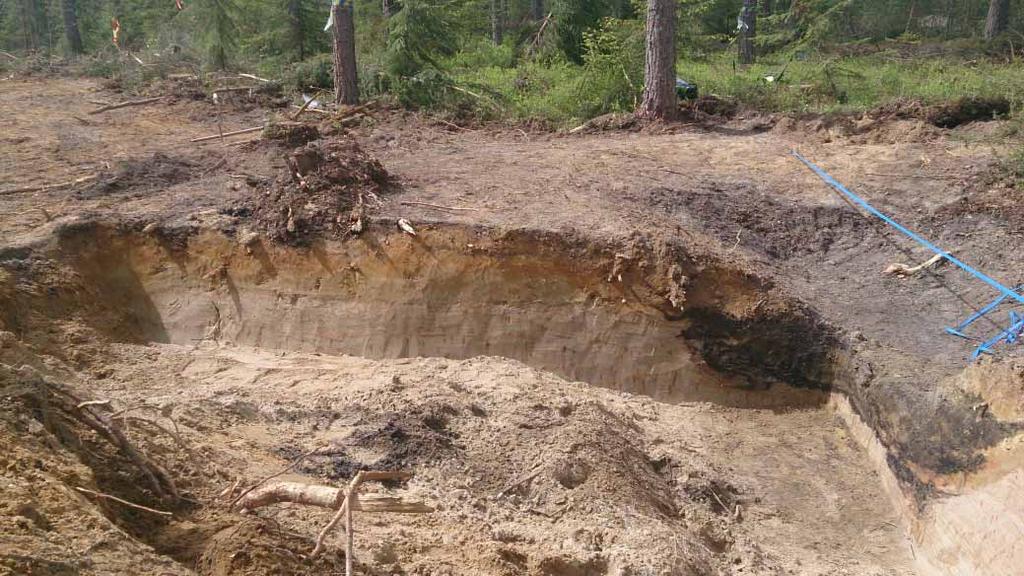 Rödbränd sand kan ses runt och mellan kollagren.