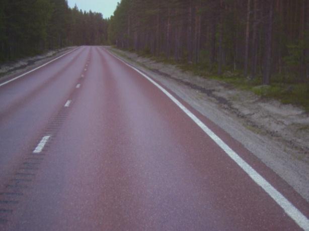 förekommer utanför hjulspår (plogskador) och i hjulspår