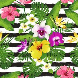 Hibiskus 7340119806388.