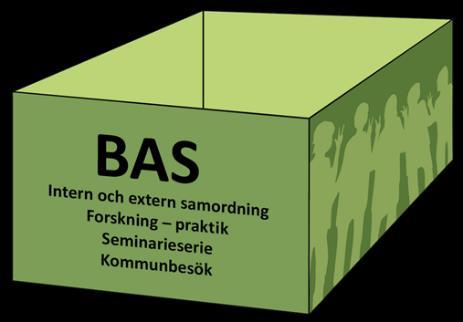 BAS: Forskning - praktik Forskargrupp (Karolinska Institutet, Stockholms universitet, SBU, CAN, CES)