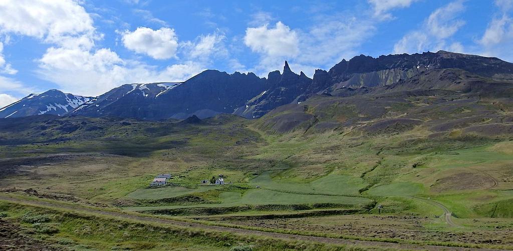 Däggdjur 1. Knölval Megaptera novaeangliae 2 Akureyri i hamnen 22.6. 8 Skjalfandi båttur 23.6 2.