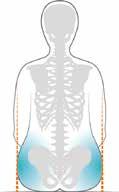 Vuxen Manuella Rullstolar 4 Kyfos Utrymme för en kyfotisk rygg skapas framför allt med ryggbanden.