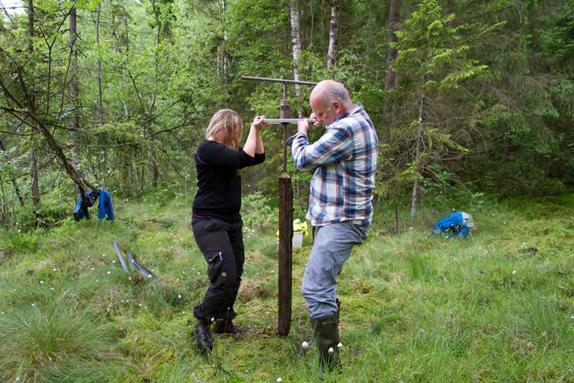 Arbetet med att bilda ett nytt fiskevårdsområde i Stora och Lilla Dalsjön är inne i sin slutfas. Lantmäteriet håller förrättning i februari 2018. Borås Stad har cirka 12 % av fiskerätten i området.