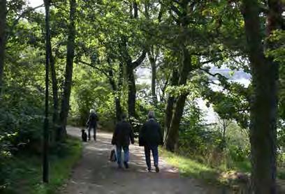 Kristinebergsklipporna (50) Karaktär och storlek: Naturpark,7 hektar Innehåll: Kristinebergsklipporna innehåller olika naturtyper som ädellövskog, hällmark och klippstrand.