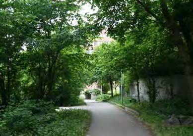 Lindhagensterrassen Karaktär och storlek: Park- och naturstråk 0, hektar Innehåll: Den del av Lindhagensterrassen som ligger på parkmark består av en avlång grön korridor genom vilken en gångväg går.