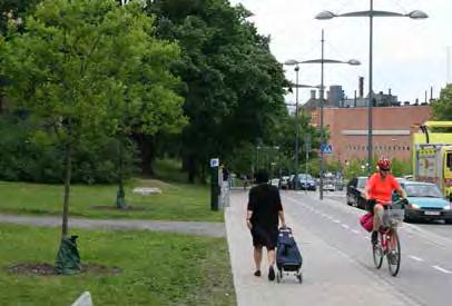 Flera arter av rödlistade skalbaggar har hittats i de gamla ihåliga träden. Den återplantering av ekar som sker på platsen borgar för att karaktären av ekbacke kan fortleva.