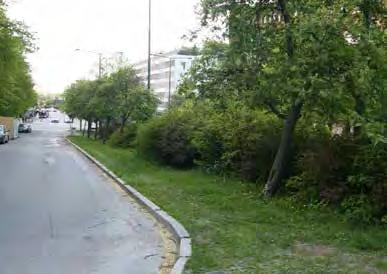 Rampen kantas på båda sidor av smala blandbuskage och gräsytor med rönnar på rad. Mot Kronobergsgatan finns en cykelparkering.