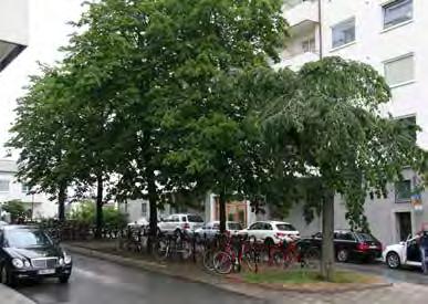 Området upptas nästan helt av en stor cykelparkering. I den västra ytan står två hästkastanjer i en kullerstensbelagd yta i gatans mitt. Här finns också en parksoffa i en minimal grusyta.