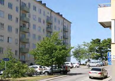 Det bör därför övervägas att ersätta flertalet med annan art som är bättre lämpad för de torra växtbetingelserna. Buskagen i den södra delen behöver en översyn.