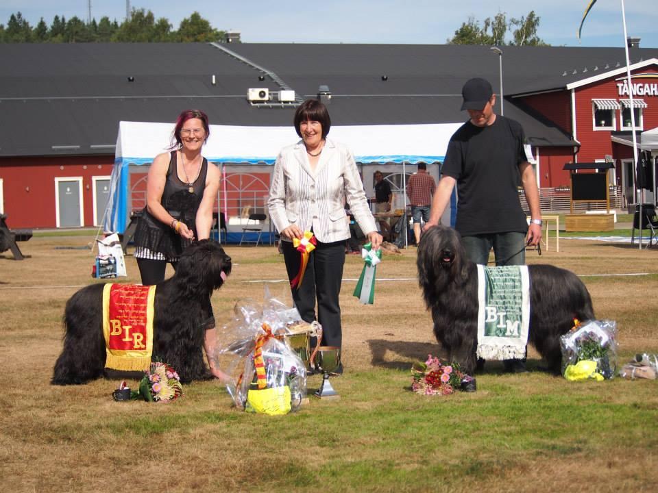 Tävlingssektorn: Mi Nilsson, Ekbäcken, 593 43 Västervik jami@tele2.se Vallhundssektorn: Ann-Louise Svensson svensson.ann-louise@telia.
