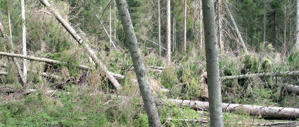 2.6 Jämställdhet Jämställdhet i den fysiska planeringen handlar om att främja kvinnors och mäns lika rätt till delaktighet i samhället och vardagslivets olika aktiviteter.