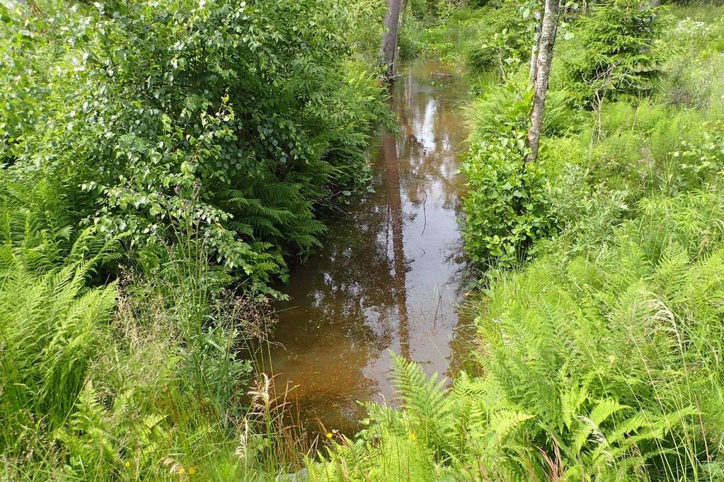Naturvärdesobjekt 1 Naturvärdeklass 3 Längd: cirka 540 meter Naturtyp: Vattendrag Biotop: Öppet dike genom skogsmark Beskrivning: Öppet rakt dike som var vattenfyllt vid inventeringstillfället.