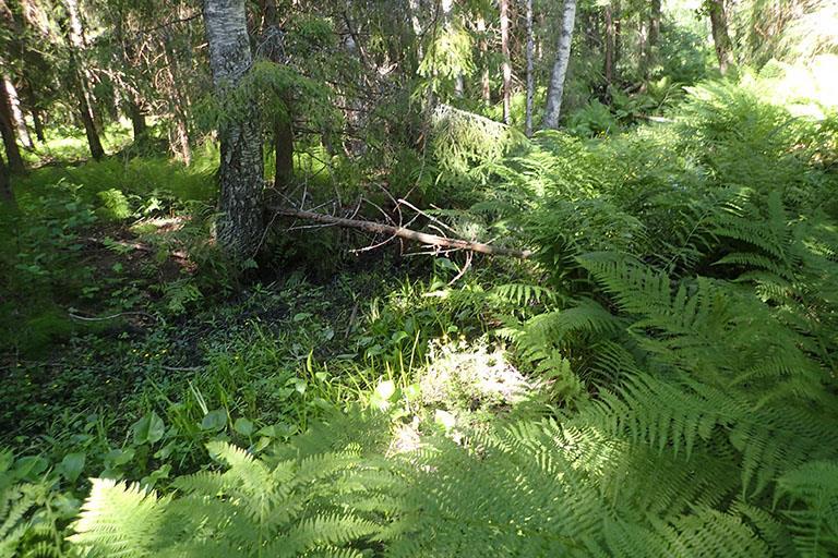 Naturvärdesobjekt 2 Naturvärdeklass 3 Längd: cirka 1 000 meter Naturtyp: Vattendrag Biotop: Öppet dike genom skogsmark Beskrivning: Skogsdike som är cirka 2 meter brett.