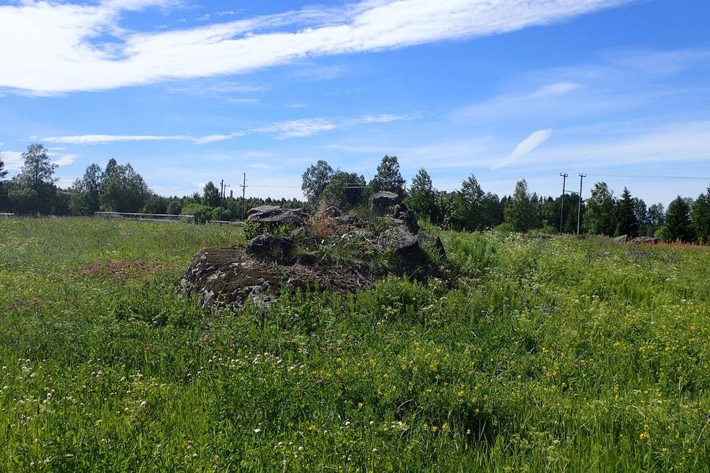 Figur 17. Vy ut mot åkermark från åkerholme med rönn. Det är förbjudet att vidta åtgärder eller bedriva verksamheter som kan skada naturmiljön i dessa biotoper.