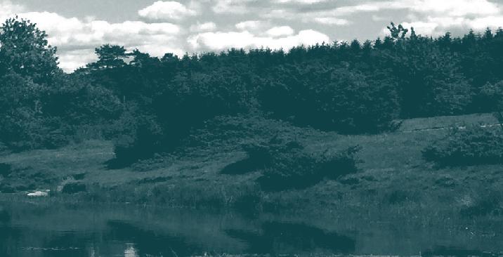 Kultur, fritid och natur Lunds kommun ska i samband med SommarLund 2018 genomföra koncerter vid Vattenmöllan, samt andra aktiviteter i Genarp Lunds kommun välkomnar också Genarpsbor att anordna olika