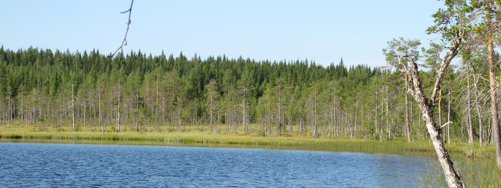 Naturvärdesinventering av Gastsjö, Bräcke kommun Ett underlag