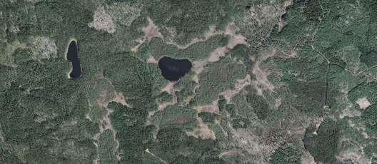 skog. Enligt förändringsanalysen är området oförändrat, vilket stärker områdets skyddsvärde ytterligare. A B Figur 63.