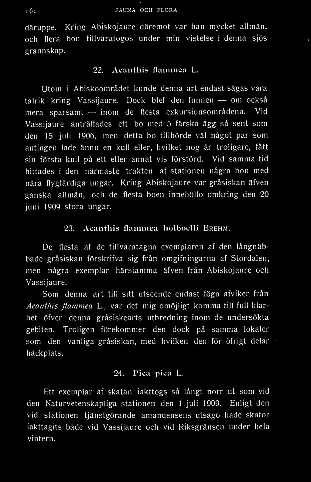 Vid Vassijaure anträffades ett bo med 5 färska d^gg så sent som den 15 juli 1906, men detta bo tillhörde väl något par som antingen lade ännu en kull eller, hvilket nog är troligare, fått sin första