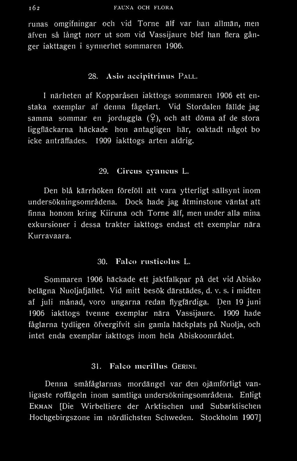 ), och att döma af de stora liggfläckarna häckade hon antagligen här, oaktadt något bo icke anträffades. 1909 iakttogs arten aldrig. 29. Circiis cyaneus L.