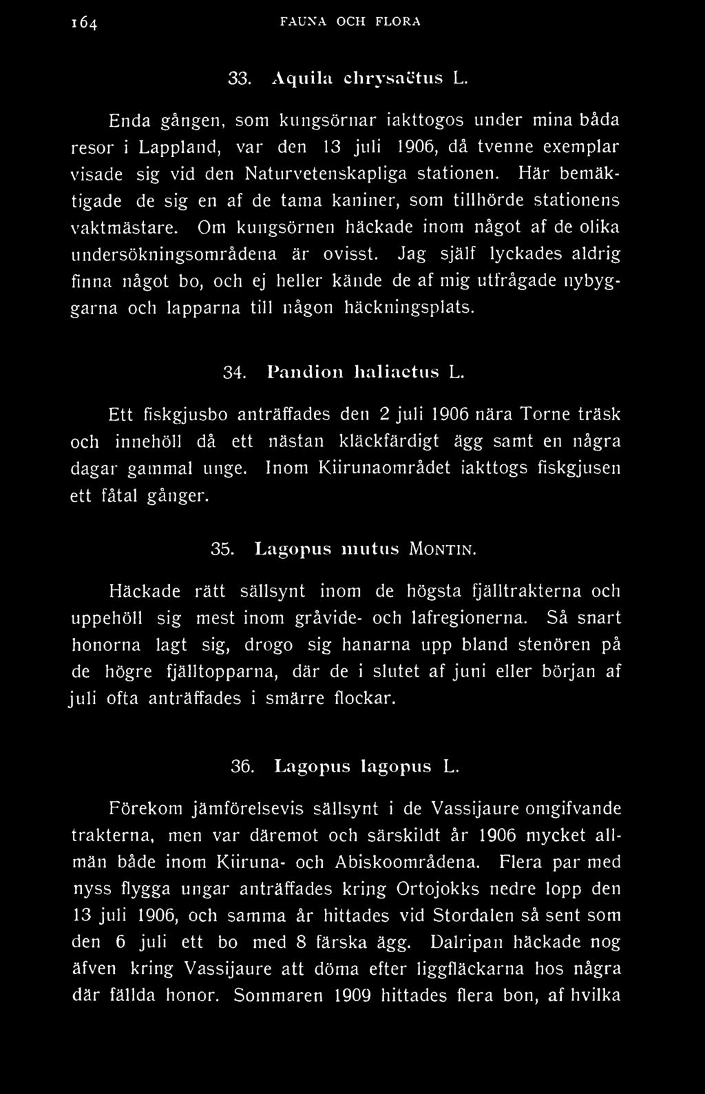 Här bemäktigade de sig en af de tama kaniner, som tillhörde stationens vaktmästare. Om kungsörnen häckade inom något af de olika undersökningsområdena är ovisst.