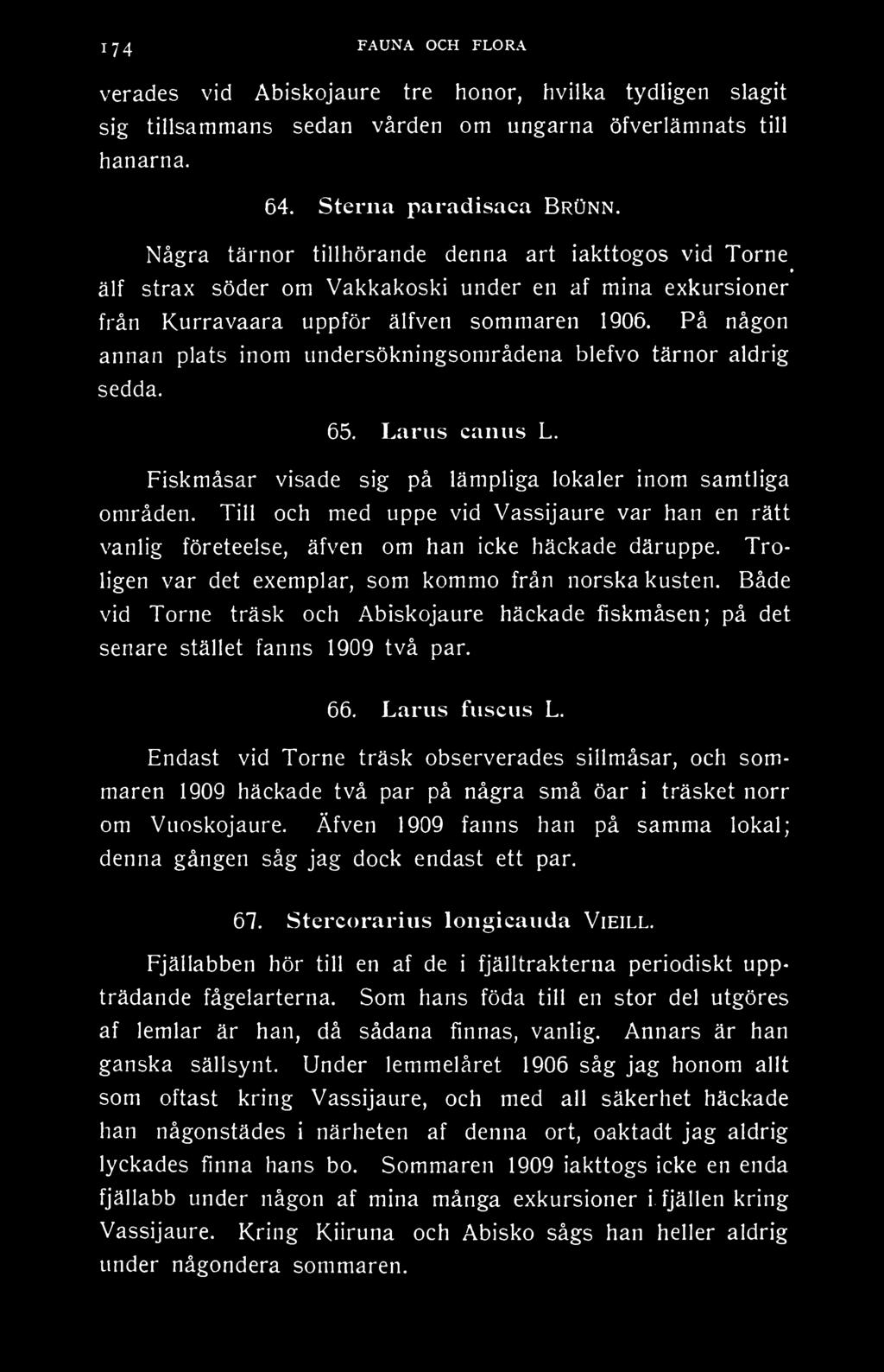 174 FAUNA OCH FLORA verades vid Abiskojaure tre honor, hvilka tydligen slagit sig tillsammans sedan vården om ungarna öfverlämnats till hanarna. 64. Sterila paradisaea Brunn.