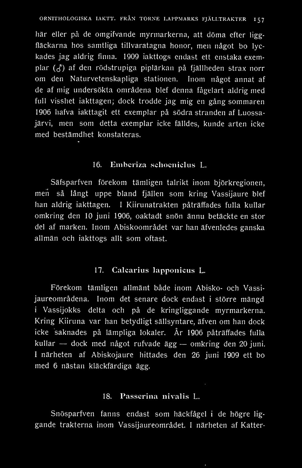 ORNITHOLOGISKA laktt.