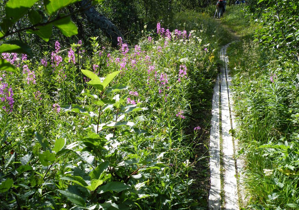 Kontakta en markägare För att få reda på vem som äger marken du planerar att vistas eller slå läger på så kan du få hjälp av Lantmäteriets telefon -eller mailtjänst.