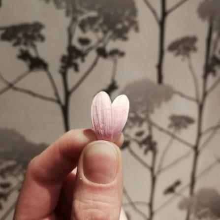 Glädjen att ge Aposteln Paulus skrev: Var och en skall ge som han har beslutat i sitt hjärta, inte med olust eller av tvång, ty Gud älskar en glad givare. (2 Kor.