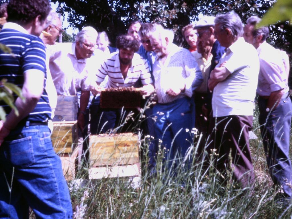 Kursverksamhet I många år träffades medlemmarna på sommarmöten hemma hos någon av medlemmarna. Det kunde också kallas bistudiemöte eller sommarstudiemöte och var ofta som en endagarskurs i biodling.