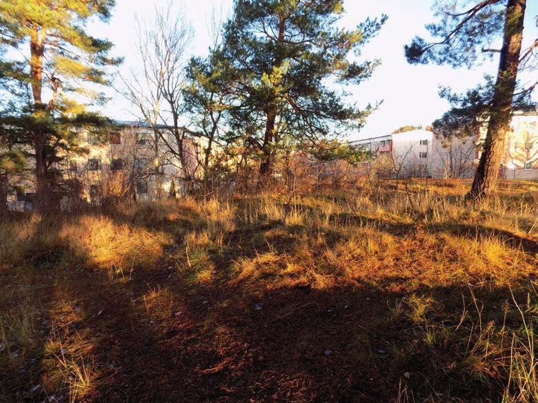 ARKEOLOGGRUPPEN AB RAPPORT 2017:13 ARKEOLOGISK FÖRUNDERSÖKNING Gravar och bålplats i Berga Arkeologisk