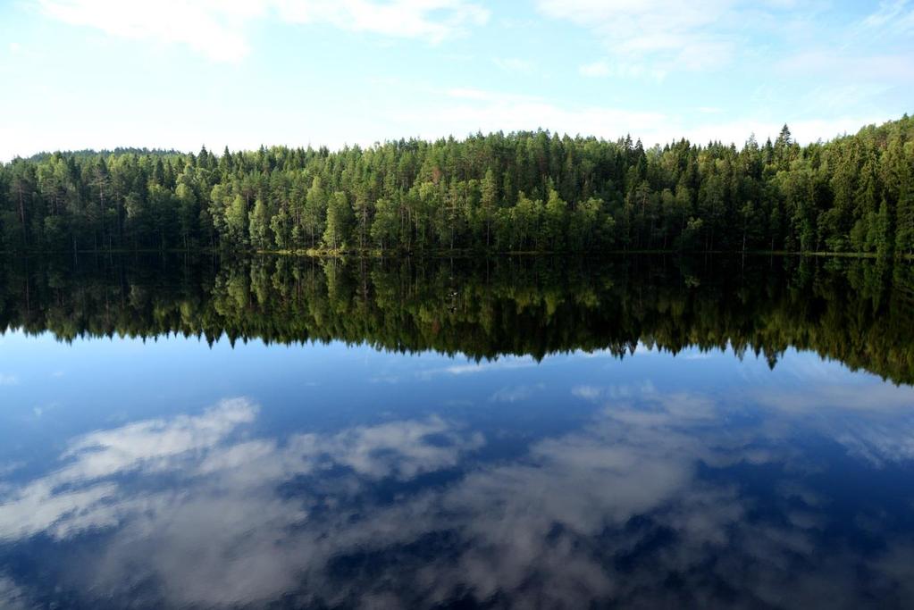 Inledning Katjärn, en av kommunens många sjöar. Foto: Marcus Ilberg Bakgrund och syfte Årjängs kommun är en växande kommun som ligger centralt placerad utefter E18 mitt emellan Karlstad och Oslo.