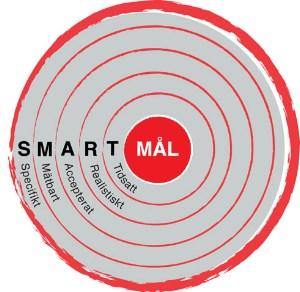 Mål Projektets mål är en mycket viktig del av ansökan - de visar nyttan med projektet. Se till att de tydligt visar vilka resultat projektet kommer att ge.